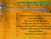 Tablet Screenshot of oslawa.com.pl
